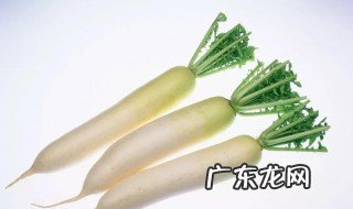 白萝卜的功效与作用对肺好吗 白萝卜的功效