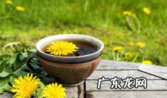 蒲公英有什么作用和用途呢 蒲公英有什么作用和用途