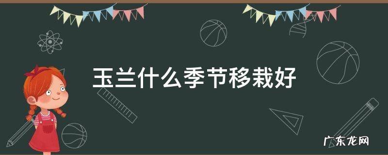 玉兰花什么季节嫁接最好 玉兰什么季节移栽好