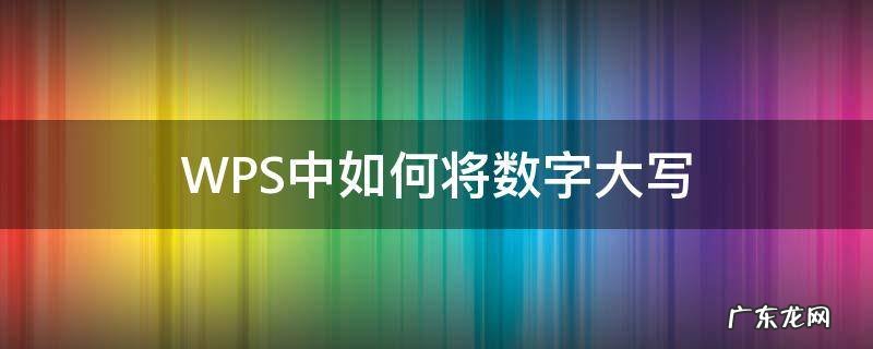 WPS中如何将数字大写 wps怎么写大写数字