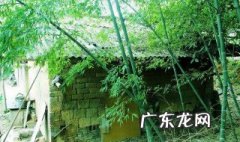 家大门两边可以栽竹子吗 大门口两侧能栽竹子可以吗
