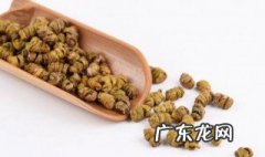 石斛泡酒怎么泡 石斛泡酒怎么泡好喝