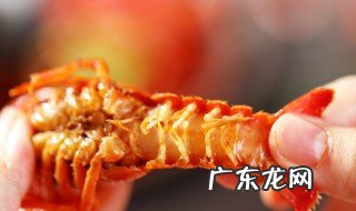 小龙虾怎么挑选肉多的 小龙虾怎么挑选肉多的