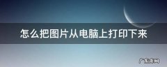 怎么把图片从电脑上打印出来 怎么把图片从电脑上打印下来
