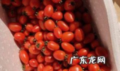 拼多多种什么水果最快 拼多多种哪个水果最快