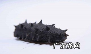 海参不能和什么一起吃 海参不能和什么一起吃可以喝牛奶吗