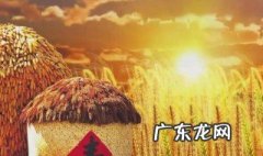 描写秋天丰收的句子和段落200字 描写秋天丰收的句子