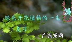 植物一生有哪六个阶段 植物一生有哪六个阶段呢