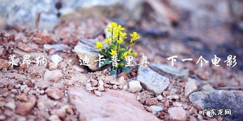 谁是莱昂纳多·迪卡普里奥的下一个电影女主角?