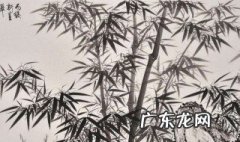 竹子有哪四种美德 竹子有哪四种美德和品质