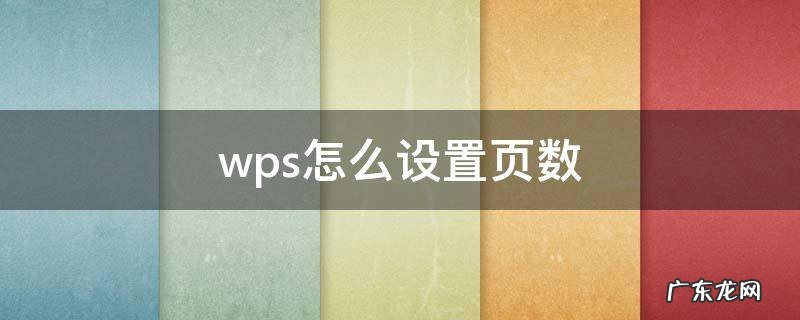 wps怎么设置页数大小 wps怎么设置页数