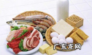 哪些食物蛋白质比较高 哪些食物蛋白质比较高一点
