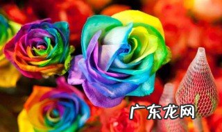 七色有哪七色 七色是哪几种