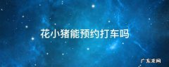 花小猪能预约打车吗 花小猪能预约打车吗2022