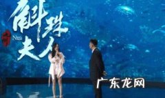 斛珠夫人 上映时间 斛珠夫人上映时间