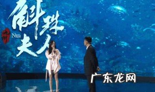 斛珠夫人 上映时间 斛珠夫人上映时间