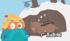 10种冬眠的动物 10种冬眠的动物图片卡通
