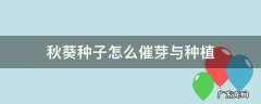 秋葵种子催芽方法 秋葵种子怎么催芽与种植