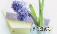 暖心文案短句友情 暖心文案短句