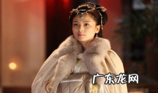 刘涛个人资料