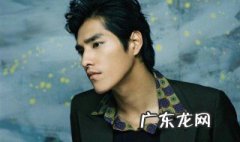 蓝正龙演过的电视剧 蓝正龙主演的偶像剧