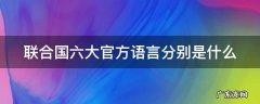 联合国六大官方语言分别是什么 联合国六大官方语言分别是什么意思