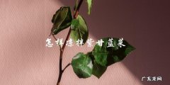 凉拌紫甘蓝菜的制作方法