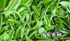 茶叶具有吸附性的内在原因 茶叶有哪五个的吸附作用