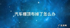 汽车棚顶布掉了怎么办 汽车顶棚的布掉了怎么办