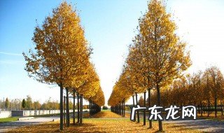 春季播种夏季秋季冬季干什么 春季,夏季,秋季,冬季 播种,耕田