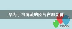 华为手机取消屏蔽照片后在哪查看 华为手机屏蔽的图片在哪查看