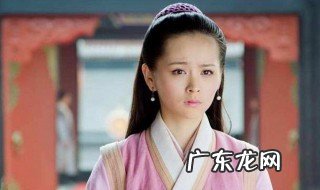 仪琳扮演者