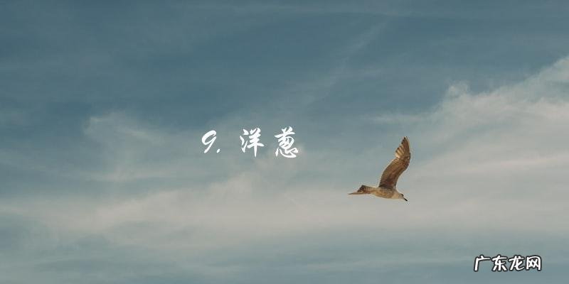 卷饼必备10大配菜,附精美图片