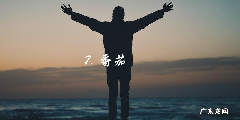 卷饼必备10大配菜,附精美图片