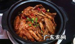 鸭翅鸭掌家常做法 鸭掌鸭翅的做法