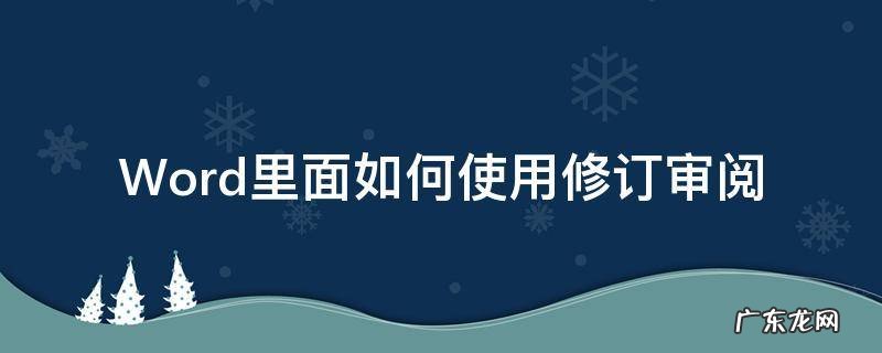 Word里面如何使用修订审阅 如何使用审阅中的修订