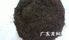泥炭土和什么土搭配好 泥炭土配土比例