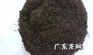 泥炭土和什么土搭配好 泥炭土配土比例