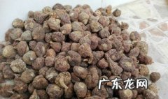 玛珈和什么搭配泡酒好呢 玛珈和什么搭配泡酒好