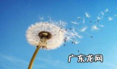 萱和什么字搭配好取名 萱和什么字搭配好
