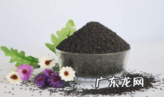 黑芝麻粉和什么搭配好