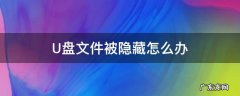 U盘内文件被隐藏 U盘文件被隐藏怎么办