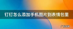 手机钉钉如何添加表情 钉钉怎么添加手机图片到表情包里