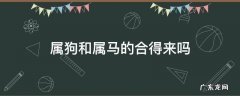 属狗和属马的合得来吗 属马的和属狗的相合吗