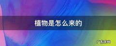 野生植物是怎么来的 植物是怎么来的