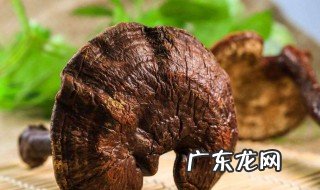 灵芝和什么搭配泡水喝 灵芝和什么搭配泡水好