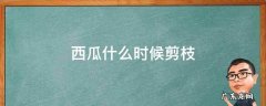 西瓜什么时候打枝 西瓜什么时候剪枝
