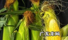 玉米须和什么搭配好 玉米须和什么搭配治疗高血压