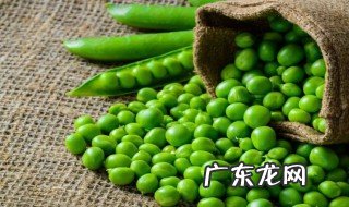 豌豆和什么搭配好 豌豆和什么搭配最佳