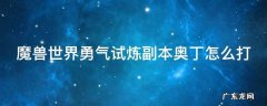 魔兽世界勇气试炼副本奥丁怎么打的 魔兽世界勇气试炼副本奥丁怎么打